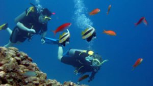 snorkeling hurghada