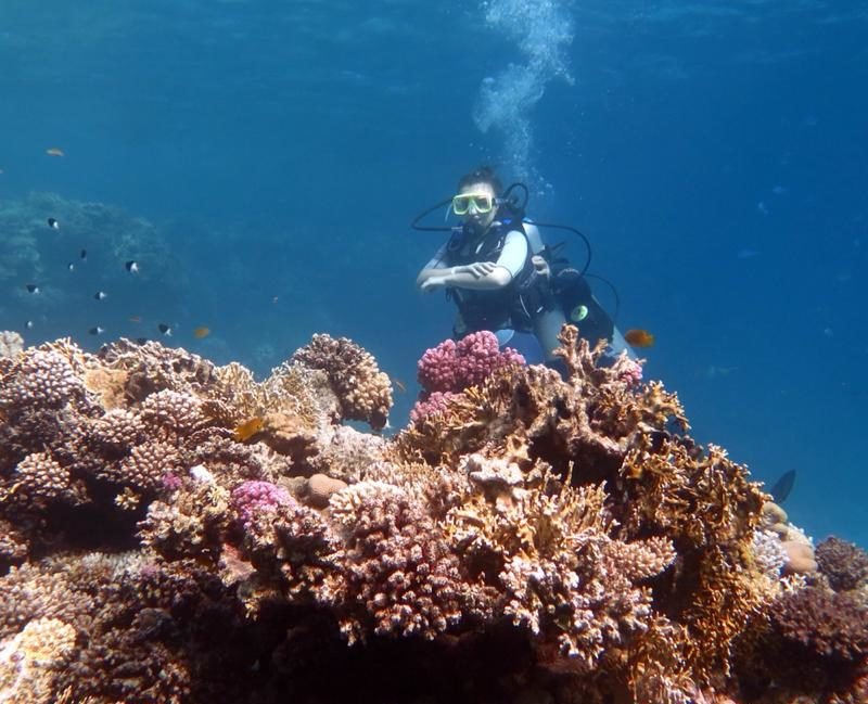 Advance diving water course