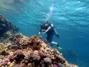 Scuba diving