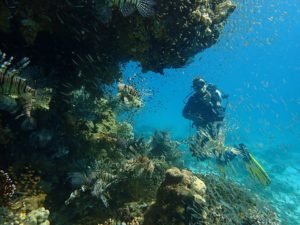 Scuba diving