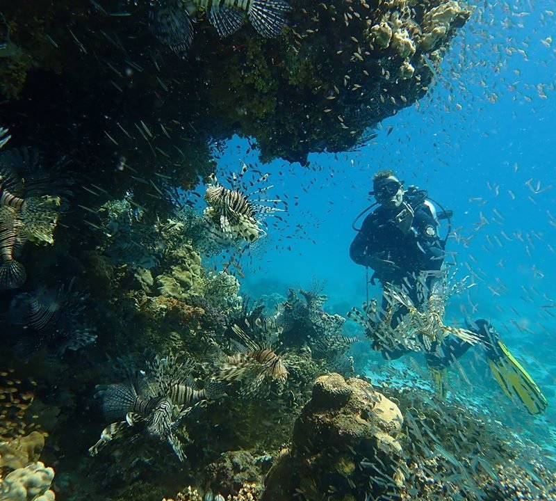 Scuba diving